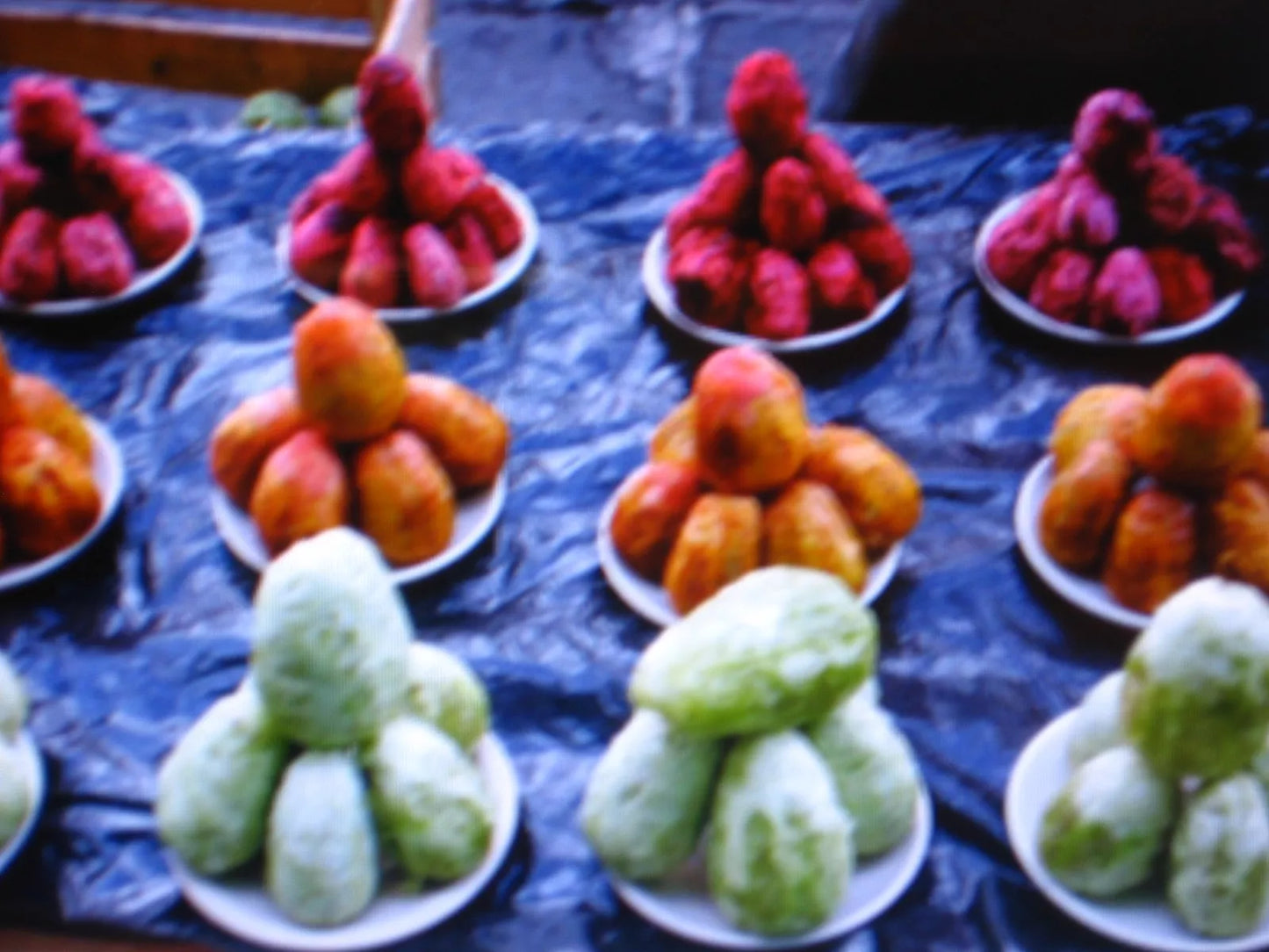 Edible Cactus Seeds 9 Pack - Harvesting & Recipe Guide - Opuntia (Prickly Pear) Fruit & Pads