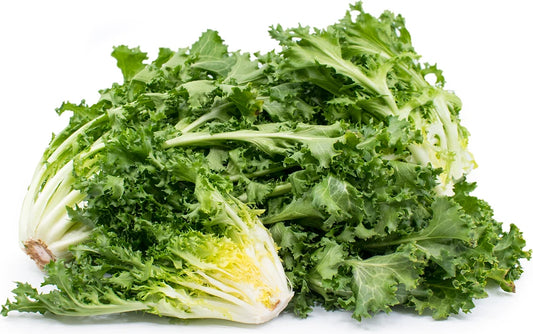 350 Seeds Endive Green Curled Ruffec Salad Greens Cichorium endivia - Non-GMO, Organic, Heirloom Variety