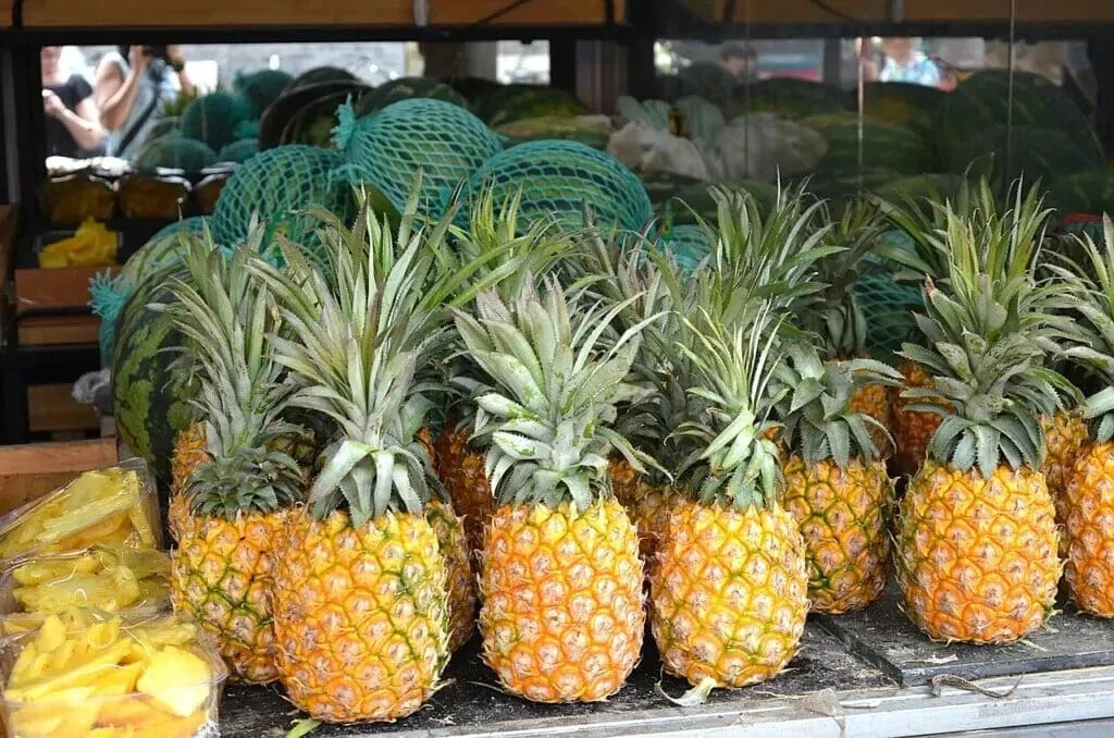 Cayena Lisa Pineapple Seeds - 15+ Pack for Garden Planting - Ananas comosus - USA