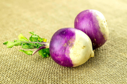 American Purple Top Rutabaga Seeds - Organic Non-GMO, Brassica napus Variety for Home Gardening