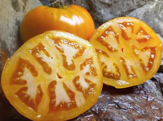 Golden Jubilee Tomato Seeds - 30+ Heirloom Organic Non-GMO Seeds - Perfect for Home Gardening - Solanum lycopersicum