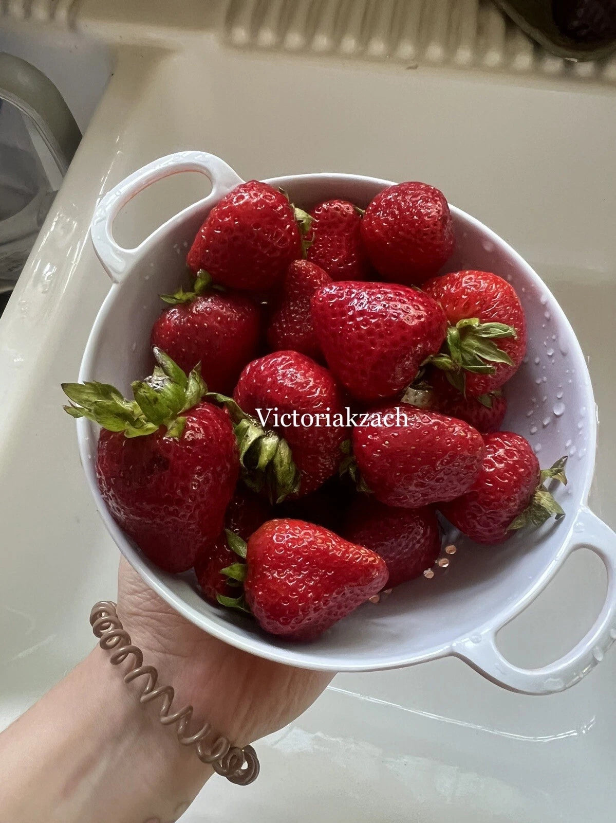 500 Strawberry Seeds | Organic Non-GMO | Homegrown Edible Garden | Fragaria x ananassa