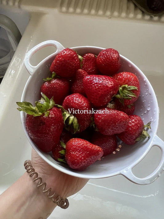 500 Strawberry Seeds | Organic Non-GMO | Homegrown Edible Garden | Fragaria x ananassa