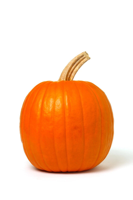 Mammoth Gold Giant Pumpkin Seeds - 20 Heirloom Non-GMO Seeds - Cucurbita maxima
