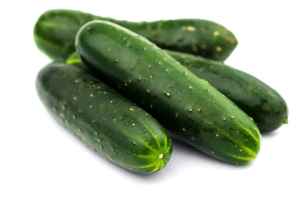 Carolina Cucumber Seeds - Organic Heirloom - 200+ Non-GMO Seeds - Cucumis sativus