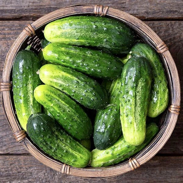 30 Non-GMO Arkansas Little Leaf Cucumber Seeds | Pickling Variety | Garden Planting | Cucumis sativus