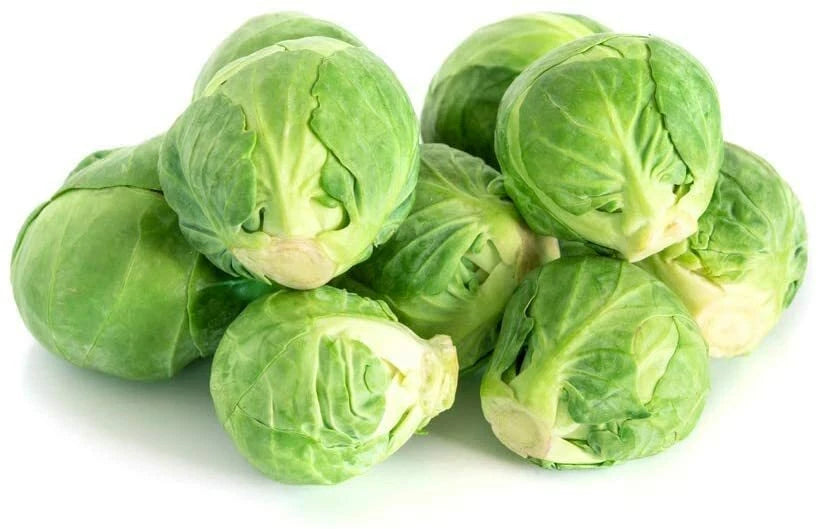 Brussel Sprouts Seeds - 250+ Count - Organic Vegetable Seeds - Brassica oleracea