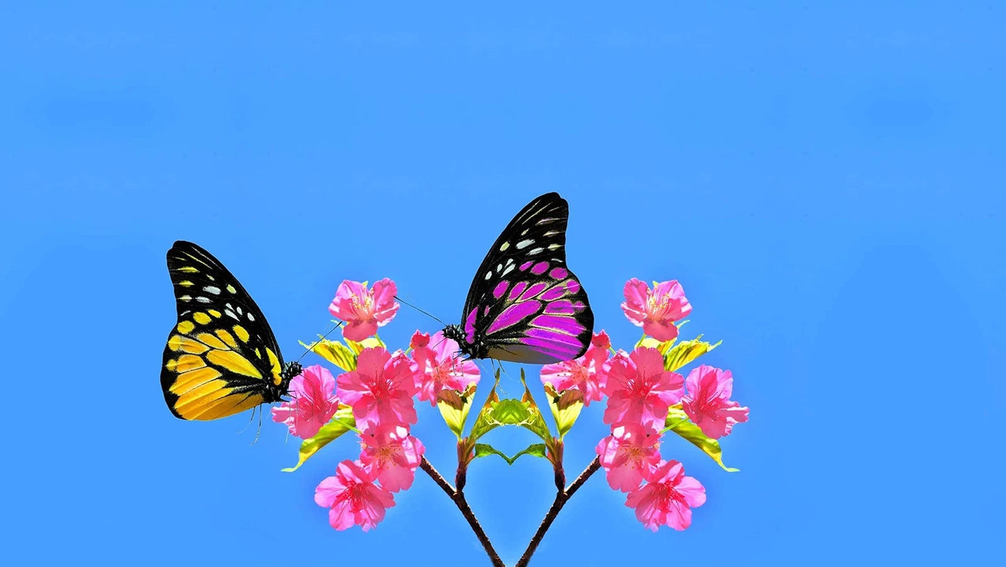 Cherry Blossom Bush Seeds - 20 Pack, Pink Blooms - Prunus serrulata (Sakura)