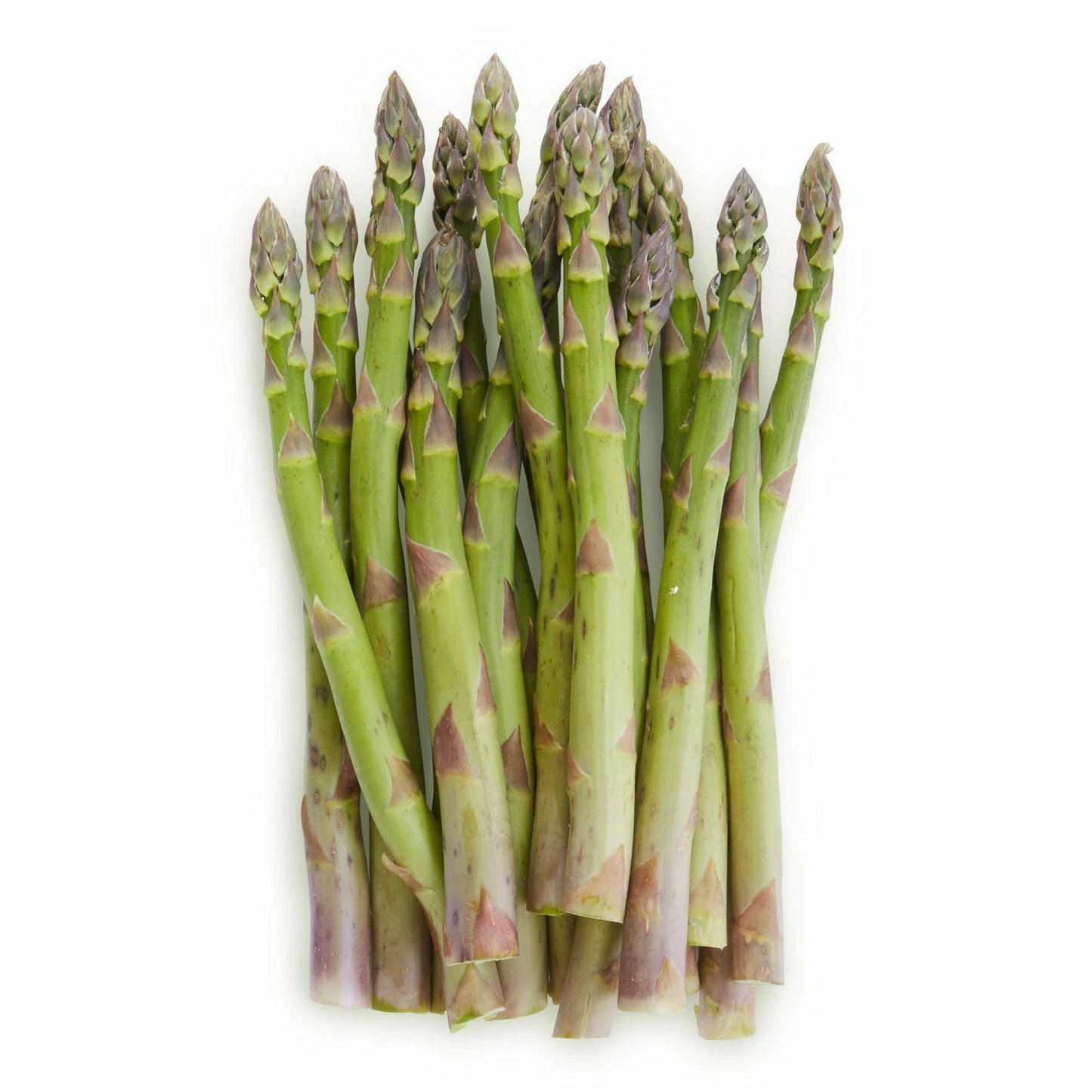 Mary Washington Asparagus Seeds | Non-GMO Heirloom Vegetable Seeds | Asparagus officinalis