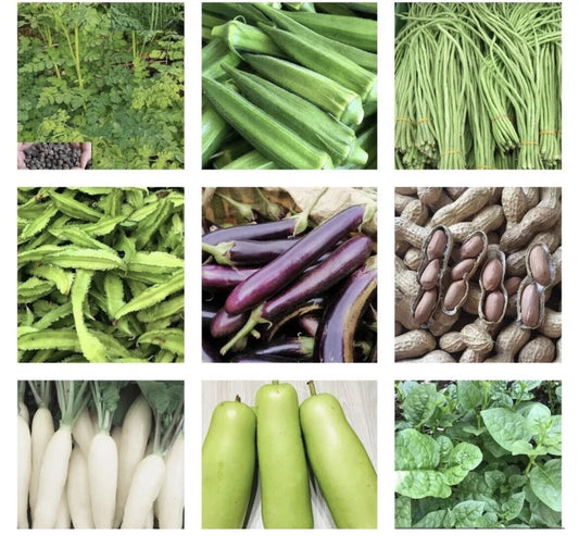 20 Pack Vegetable Seeds for Planting - Asian Vegetable Seed Variety - Non-GMO, Heirloom Seeds for Home Garden