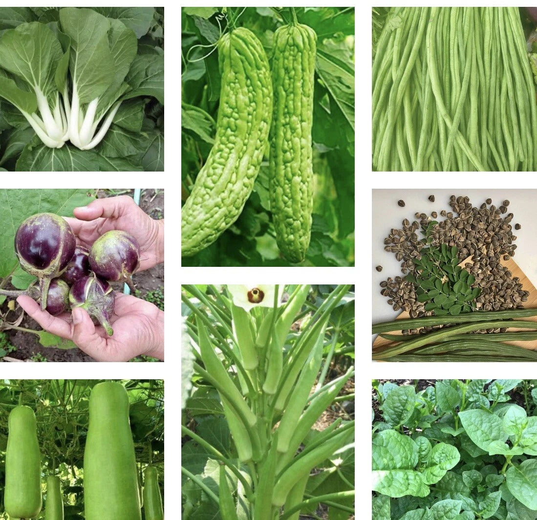 Asian Vegetable Seeds Variety Pack - 20 Non-GMO Heirloom Seeds for Planting