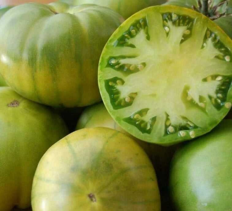Aunt Ruby's Green German Tomato Seeds 50+ Heirloom Garden Vegetables for Salad - Lycopersicon esculentum