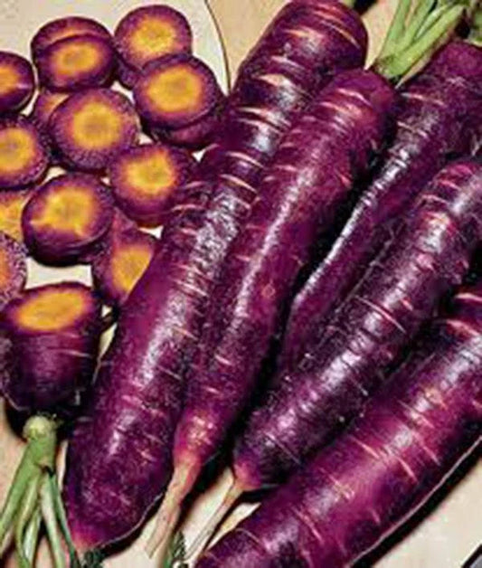 Carrot Seeds - 500+ Purple Haze Hybrid - Non-GMO, Unusual Tasty & Sweet Variety - Daucus carota