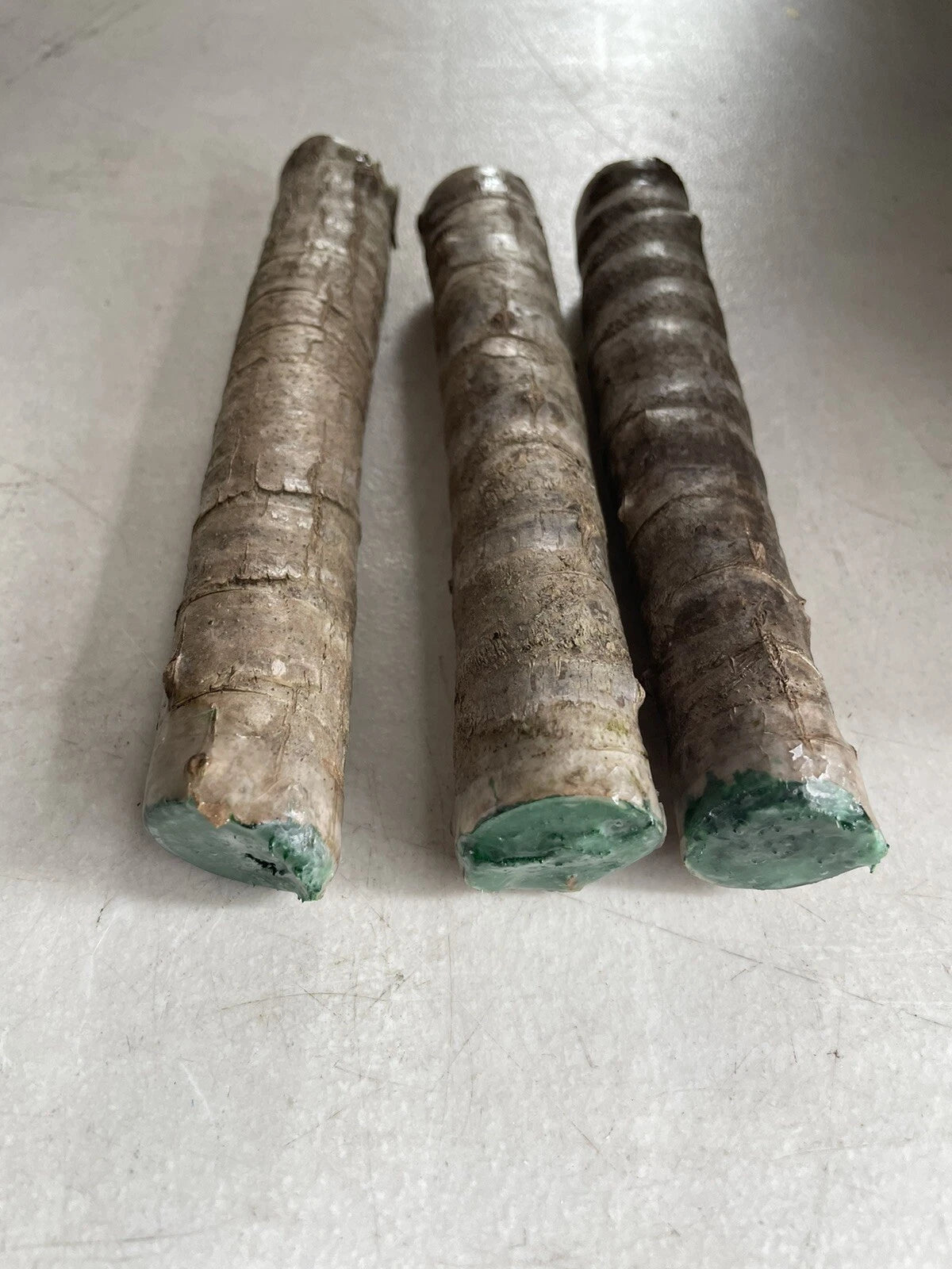 3 Hawaiian Green Ti Leaf Cuttings – Cordyline fruticosa Starter Logs – Live Tropical Plant Stems for Landscaping, Pots & Garden Borders