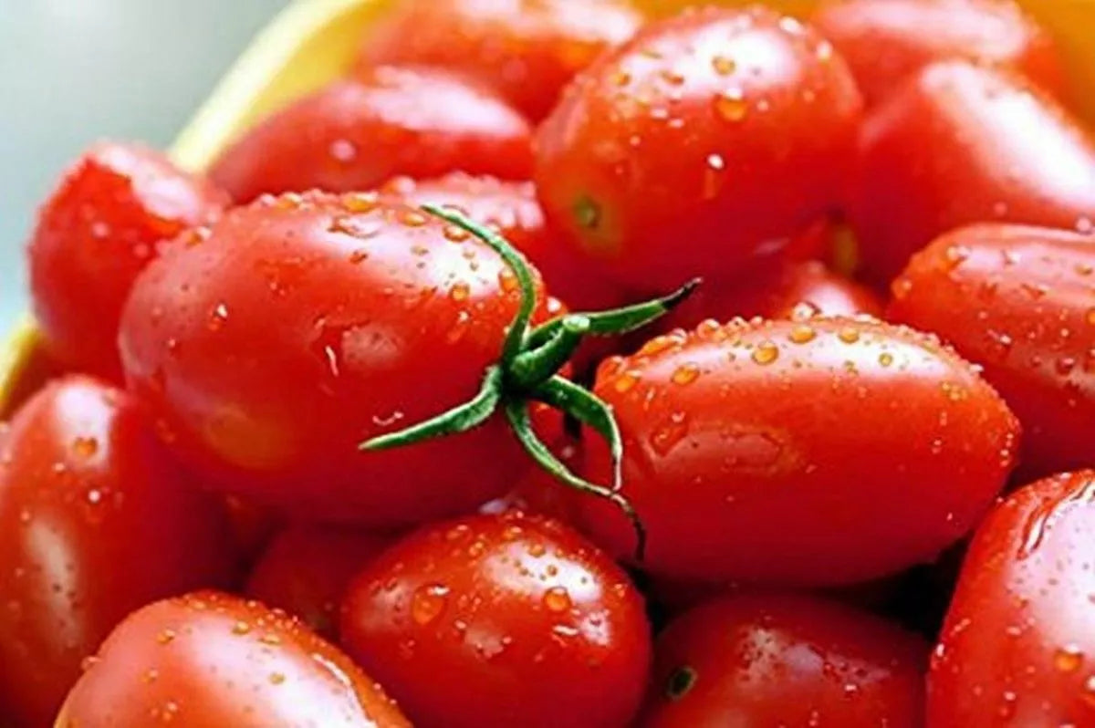 Crovarese Italian Grape Tomato Seeds 50 Ct Heirloom Vegetable Seeds - Solanum lycopersicum - USA, Free Shipping