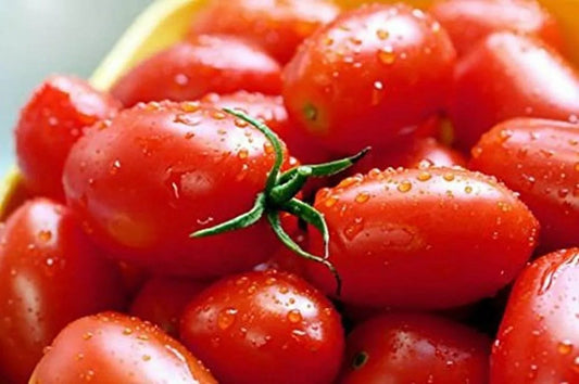 Crovarese Italian Grape Tomato Seeds 50 Ct Heirloom Vegetable Seeds - Solanum lycopersicum - USA, Free Shipping