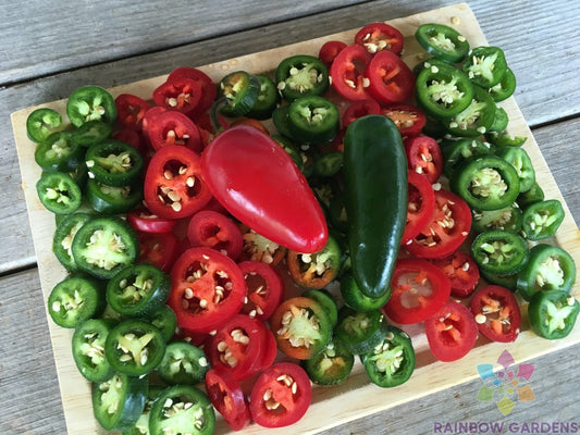 Jalapeno Hot Pepper Seeds - 25+ Pack - Early Variety - Capsicum annuum - Garden Planting, USA, Free Shipping