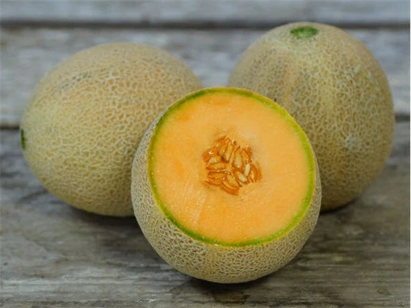 Jumbo Cantaloupe Seeds 50+ Non-GMO Muskmelon Fruit - Cucumis melo - USA Grown, Free Shipping