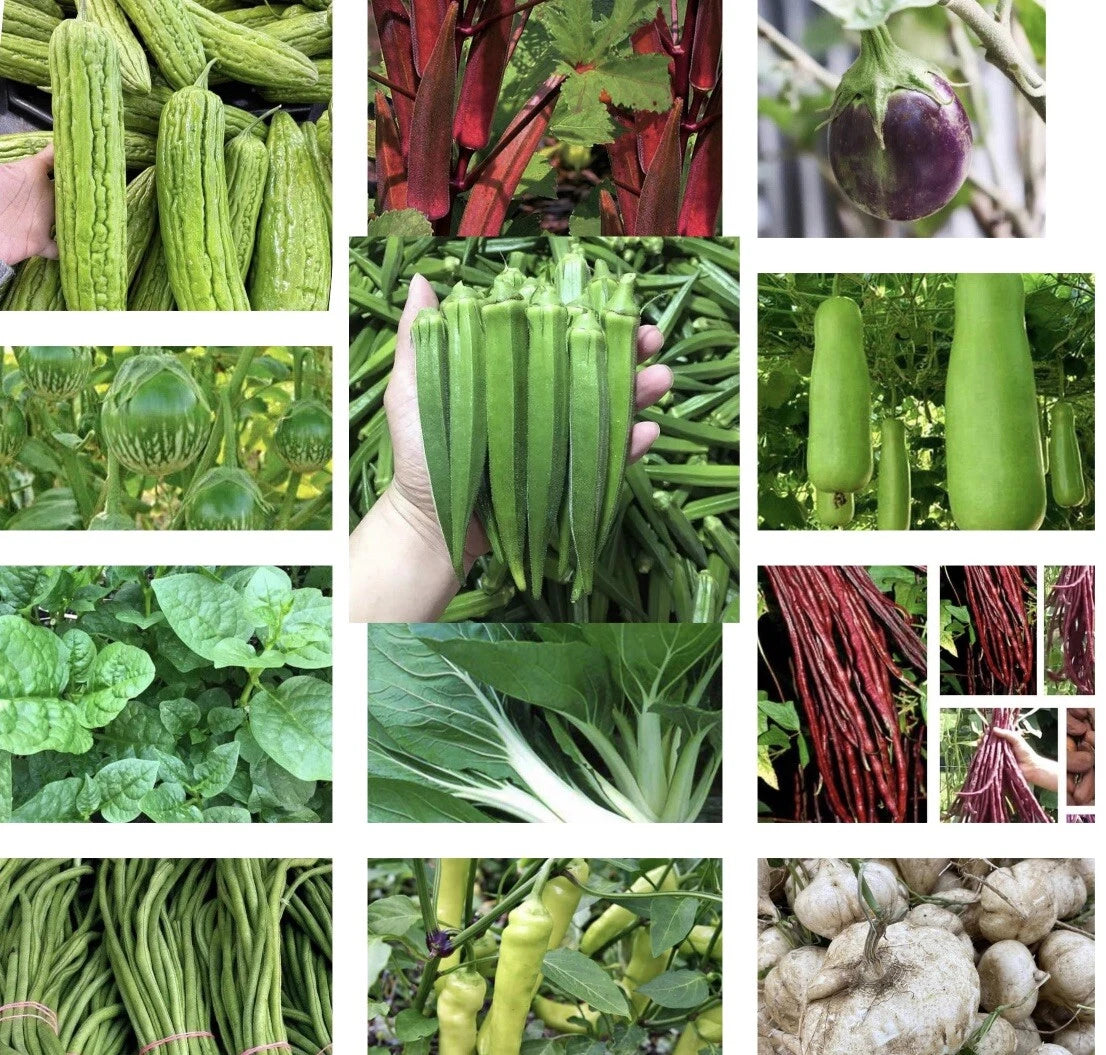 Asian Vegetable Seeds Set of 20 for Planting - Heirloom Variety, Non-GMO, Organic Gardening Supplies