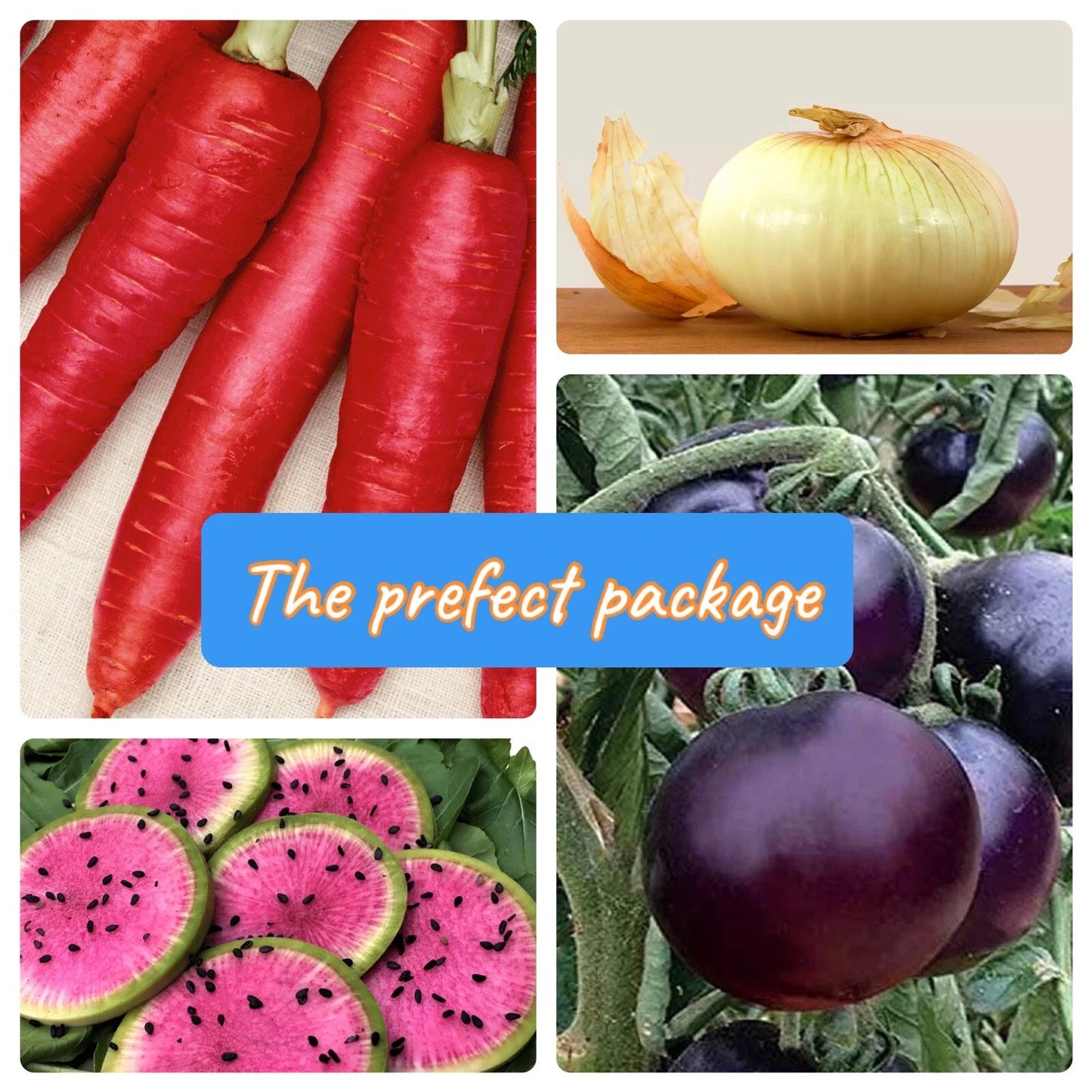Vegetable Seed Package | Rare Heirloom Variety | NON-GMO Fresh Seeds | Ultimate Vegetable Collection