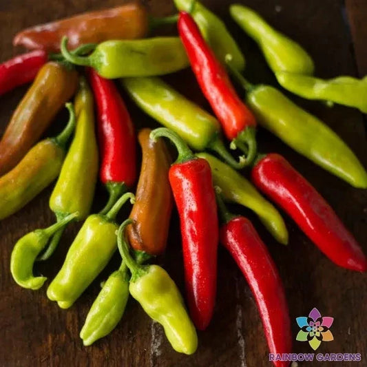 Italian Pepperoncini Sweet Pepper Seeds - 25+ Count - Perfect for Garden - Capsicum annuum