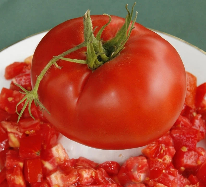 Bulk Tomato Seeds 300 Count - Delicious Giant Slicer Variety, Meaty (Solanum lycopersicum)