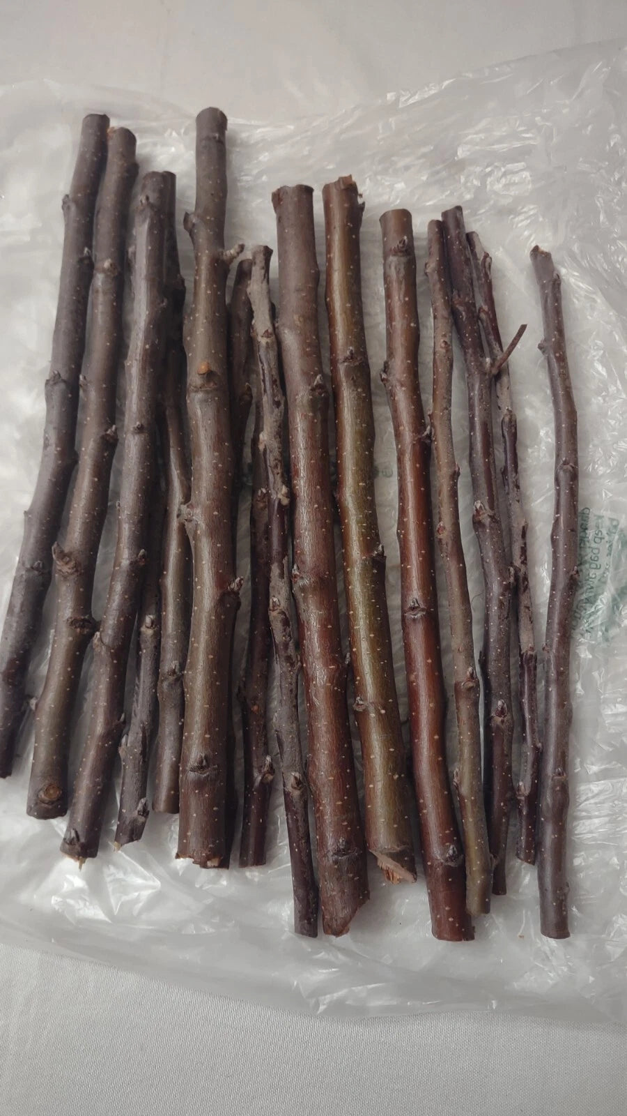 6 Golden Delicious Apple Tree Scions | Organic Unrooted Cuttings | Grafting Wood | Heirloom Non-GMO Malus domestica