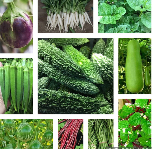 10 Pack Asian Vegetable Seeds Packets - Indian Bittermelon, Malabar Spinach & More - Heirloom Varieties