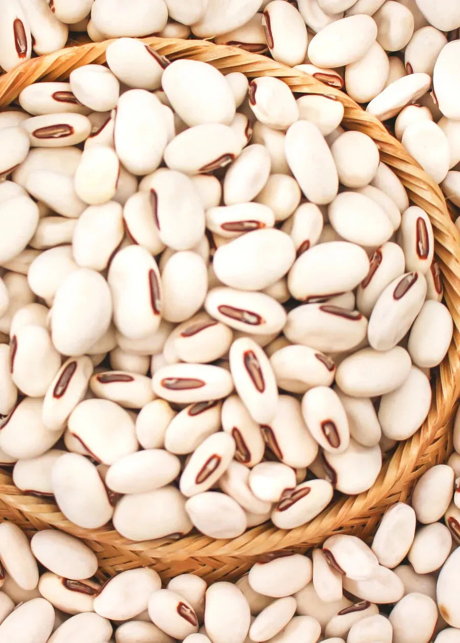 20x Jack Bean Seeds | Wonder/Sword Variety | Organic Canavalia ensiformis | 2023 Fresh Stock