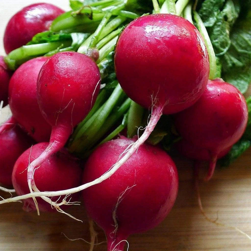 Cherry Belle Radish Seeds 200 Ct Heirloom NON-GMO Vegetable Garden Seeds for Planting - Raphanus sativus