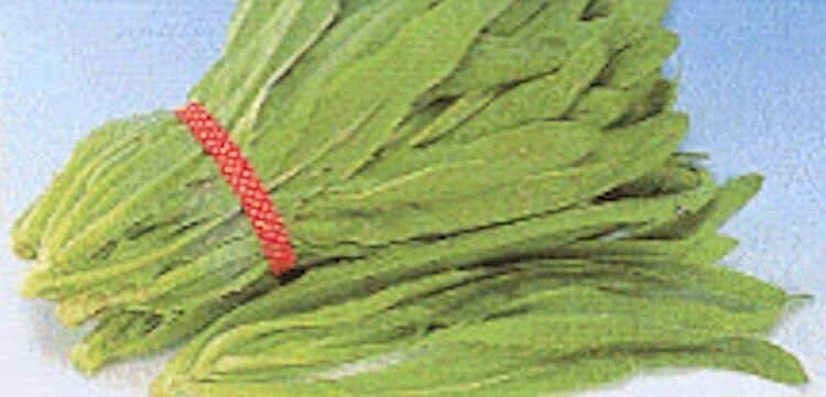 Sword Leaf Lettuce Seeds - Heirloom "A Choy" Variety, Non-GMO, Organic Gardening Seeds, Fast Shipping