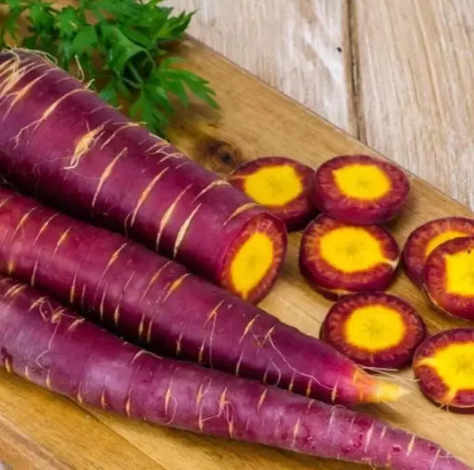 Cosmic Purple Carrot Seeds - 100+ Heirloom Organic Non-GMO - Rare Garden Vegetable - Daucus carota