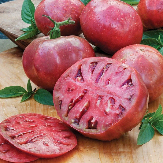 Cherokee Purple Beefsteak Tomato Seeds - 75 Non-GMO Heirloom Seeds - Solanum lycopersicum