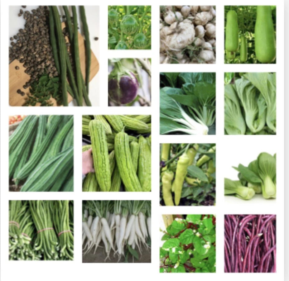 Asian Vegetable Seeds Set of 23 Packets - Diverse Varieties for Planting - Ideal for Home Gardeners and Urban Farming