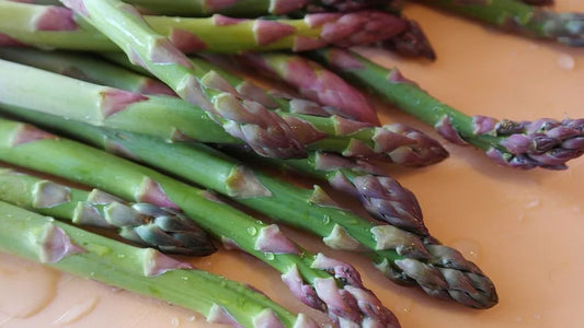 Mary Washington Asparagus Seeds, NON-GMO, Heirloom Variety, Asparagus officinalis, Vegetable Garden Seeds