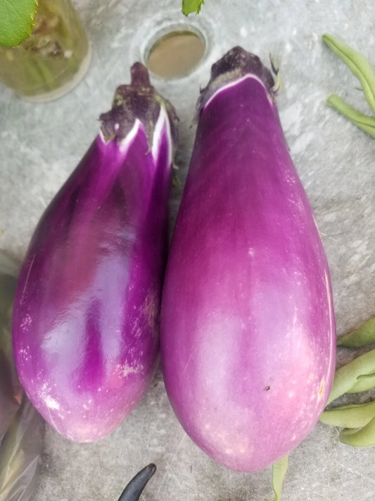 Eggplant Seeds 25, Ground Cherry Seeds 25, Japanese Kabocha Seeds 5 - Solanum melongena, Physalis pruinosa, Cucurbita maxima