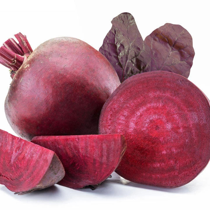 Bulls Blood Beet Seeds - Fresh Beet Seed - Beta vulgaris - Organic Vegetable Gardening