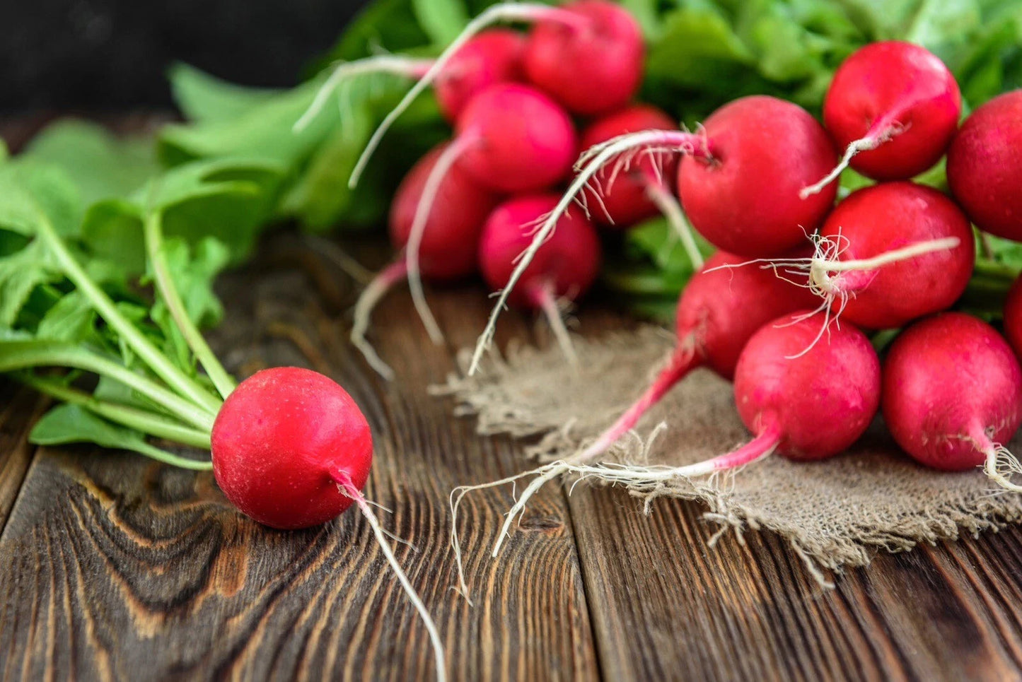Cherry Belle Radish Seeds - 200+ Heirloom Non-GMO Organic Seeds - Raphanus sativus - USA Free Shipping