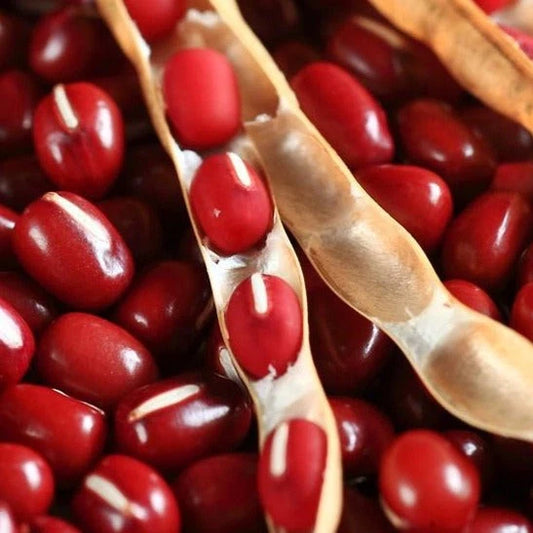 Adzuki Red Bean Seeds - 50+ Count - Asian Vegetable Variety - Vigna angularis - Perfect for 2025 Planting USA