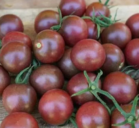 Black Cherry Tomato Seeds 20+ Indeterminate Variety for Garden Salad - Solanum lycopersicum