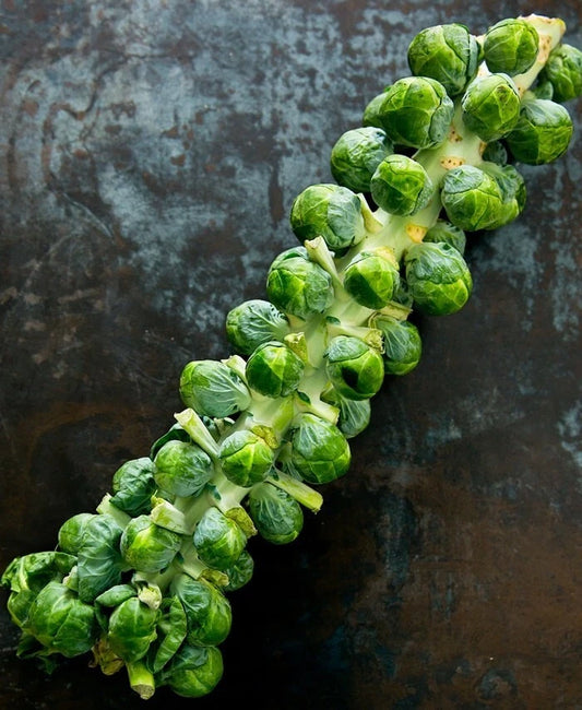 Brussel Sprouts Seeds - 25 Vegetable Seeds - Non-GMO, Heirloom Variety - Brassica oleracea