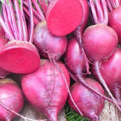 Beet Seeds - Merlin Variety - Fresh Vegetable Seeds - Beta vulgaris
