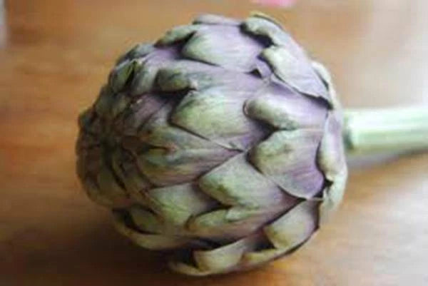 Artichoke Seeds - 500 Heirloom Green Globe Seeds - Non-GMO Artichokes - Perfect for Home Gardening