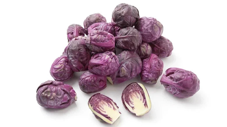 Redarling Brussels Sprouts Seeds - 500+ Pack for Garden Planting - Brassica oleracea