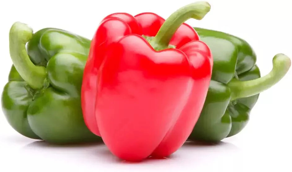 30 Ozark Giant Sweet Pepper Seeds - Grow Delicious Bell Peppers - Capsicum annuum