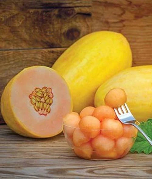 Mango Seed - 50 Seeds - Tropical Fruit - Mangifera indica - Made in USA, Ships from Iowa