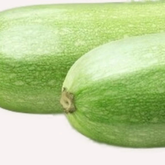 Italian Squash Zucchini Seeds | NON-GMO Heirloom | Fresh Garden Seeds | Cucurbita pepo