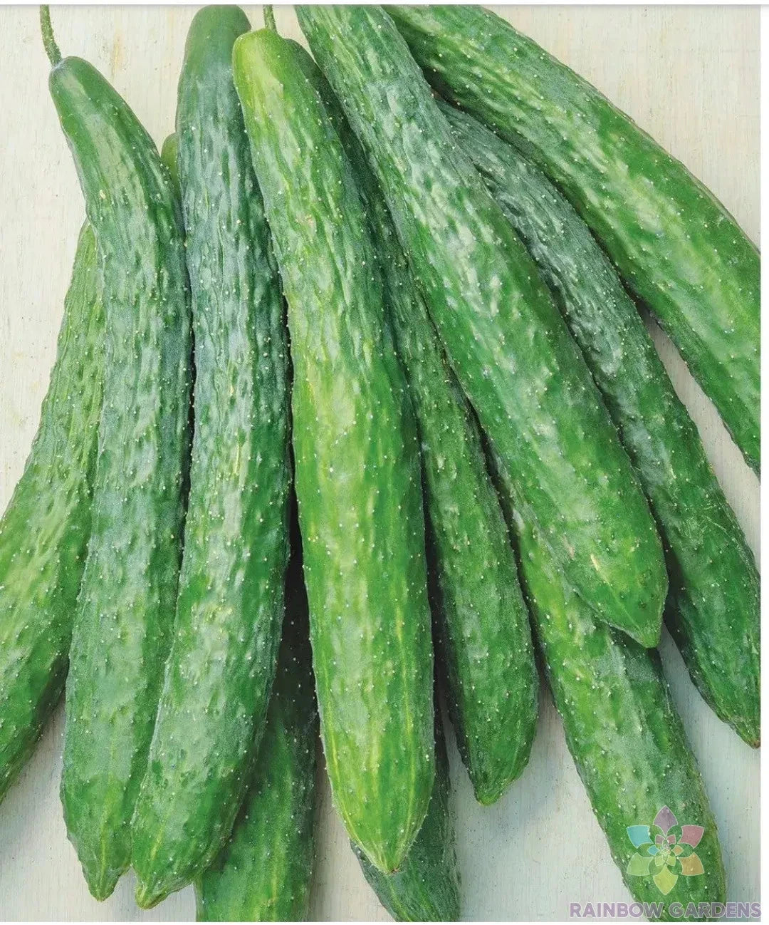 25+ Dragon Suhyo Cross Cucumber Seeds | Organic Vegetable Seeds for Garden Planting | Cucumis sativus
