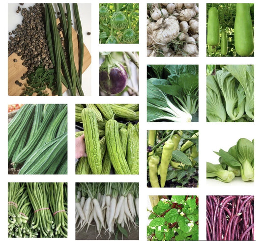 Asian Vegetable Seeds Starter Bundle - 20 Non-GMO Heirloom Varieties for Home Gardening