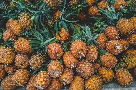 15+ Brecheche Pineapple Seeds for Garden Planting - Tropical Fruit Seeds - Ananas comosus - USA
